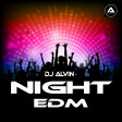 DJ Alvin - Night EDM