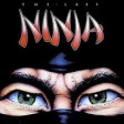 Last Ninja Nostalgie