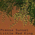Mimosa Sunset